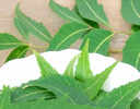 10 benefits of chewing neem leaves on empty stomach