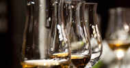 14 types of drinking glasses that you must have in your kitchen